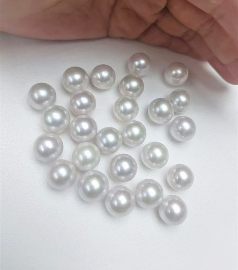 微信图片_20240822162822_副本950