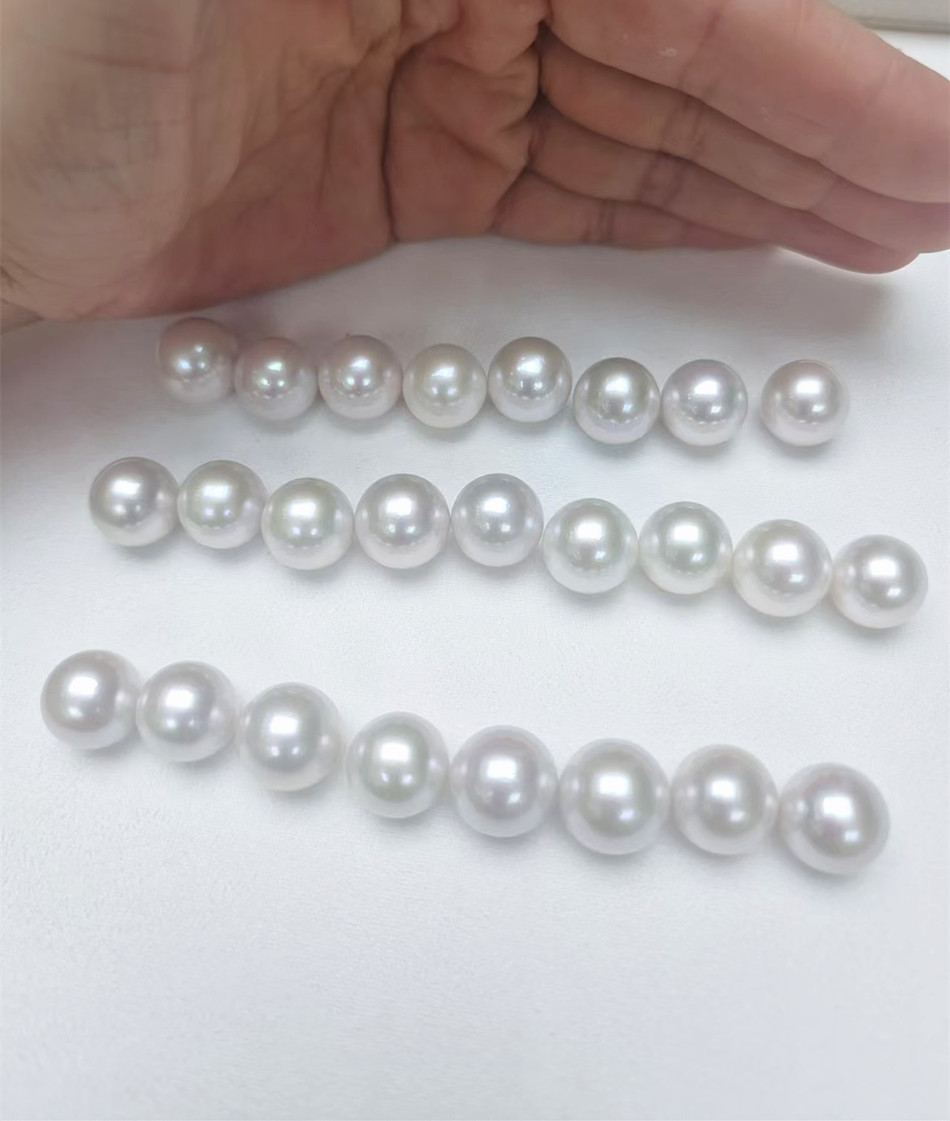 微信图片_20240822162814_副本950