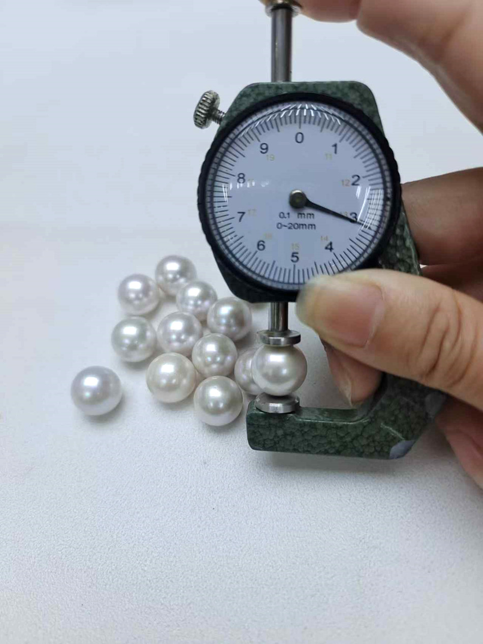 微信图片_20240822162807_副本950