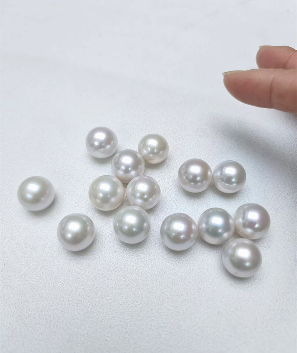 微信图片_20240822162758_副本950