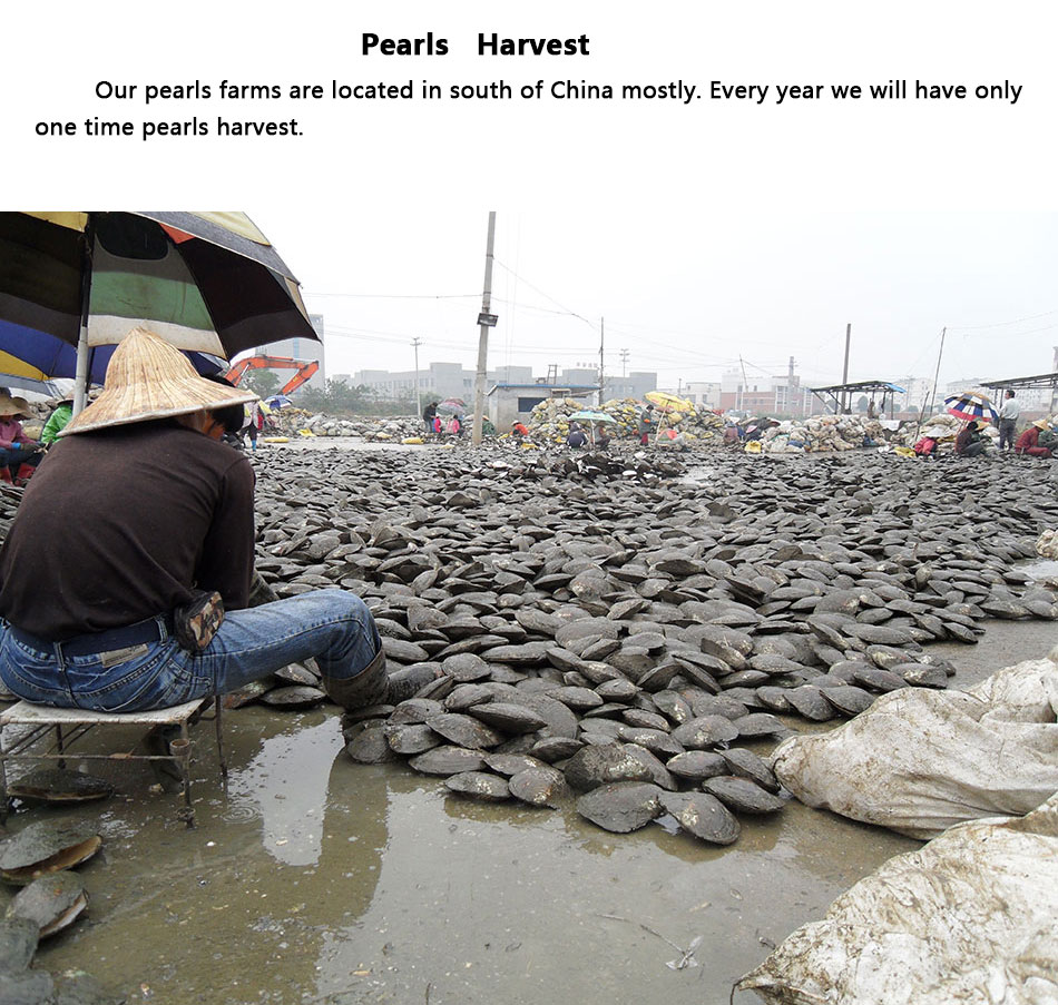 harvest
