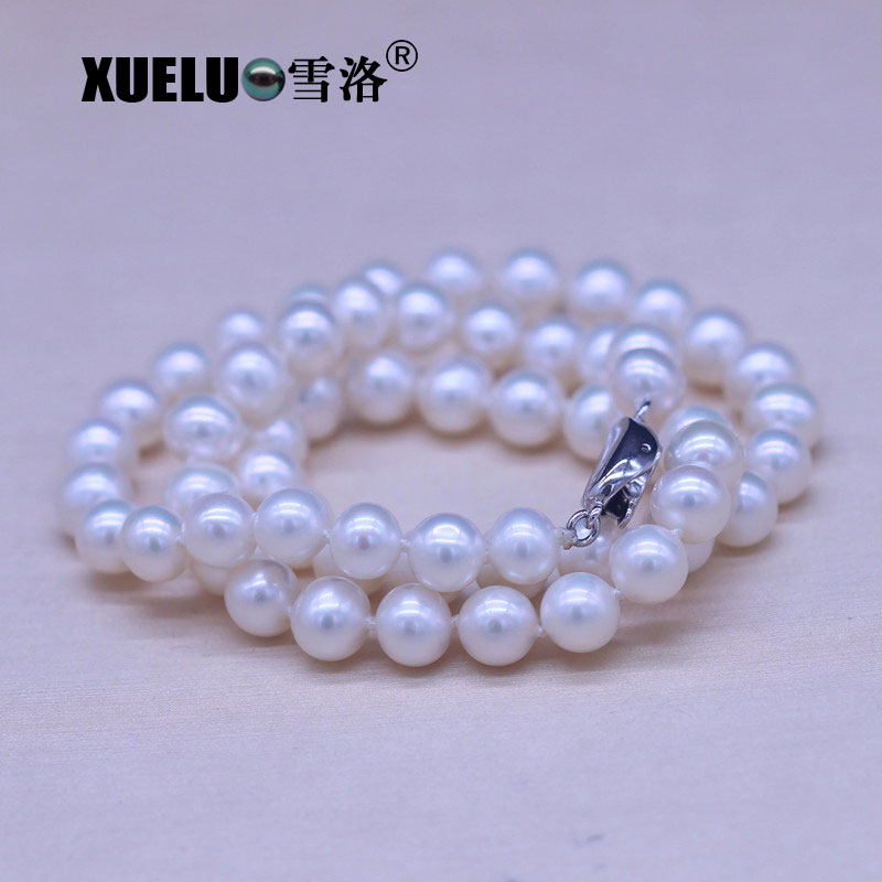 AAA High Quality Round Natural Cultured Freshwater Pearl Choker Necklace (XL120067)